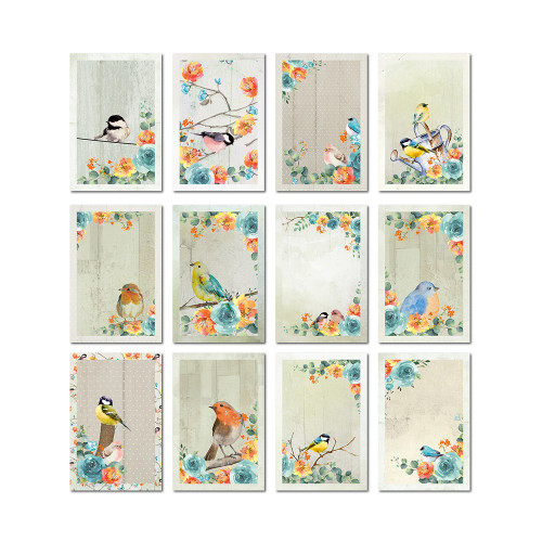 6 Pack Little Birdie Woodland Stories Journaling Cards 4"X6" 24/Pkg-Woodland Stories CR79491