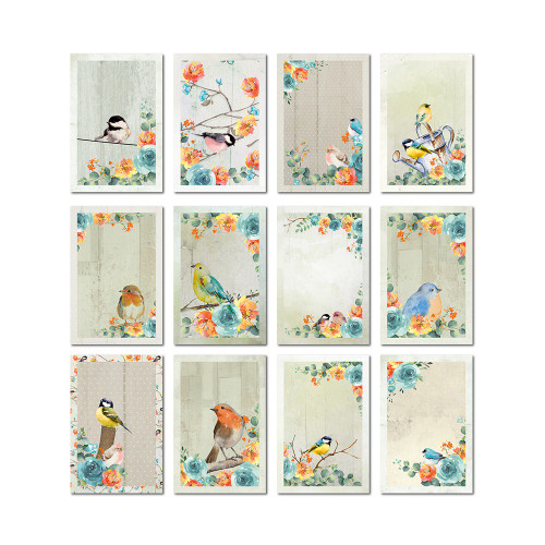 6 Pack - Little Birdie Woodland Stories Journaling Cards 4"X6" 24/Pkg-Woodland Stories - CR79491 6 Pack - Little Birdie Woodland Stories Journaling Cards 4"X6" 24/Pkg-Woodland Stories - CR79491