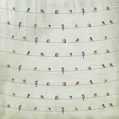 Little Birdie Woodland Stories Cardstock Pack 6"X6" 24/Pkg-Woodland Stories - CR79766 Little Birdie Woodland Stories Cardstock Pack 6"X6" 24/Pkg-Woodland Stories - CR79766