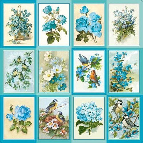 Little Birdie Cardstock 12"X12" 12/Pkg-Aqua Medley CR79506