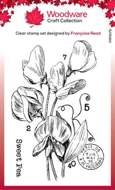 3 Pack Woodware Clear Stamps 3"X4"-Singles Sweet Pea FRM075 - 5055305986981