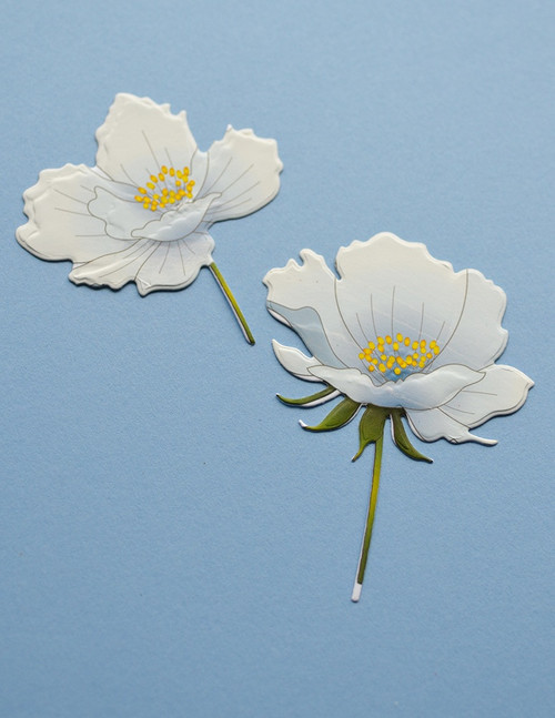 Memory Box 3D Embossing Folder & Dies-Anemone Bunches EF1042