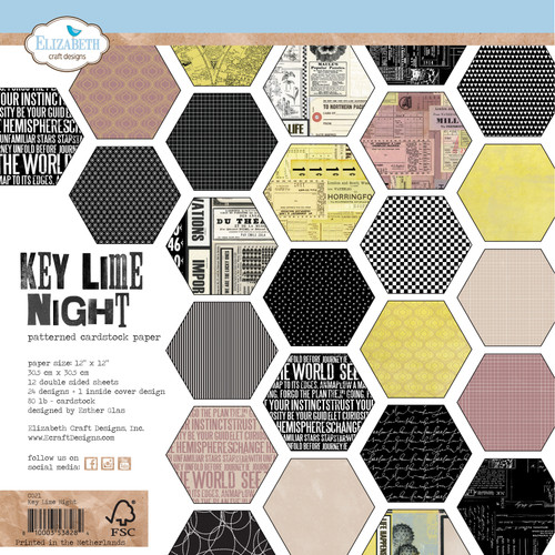 Elizabeth Craft Double-Sided Cardstock Pack 12"X12"-Key Lime Night ECC021 - 810003538284