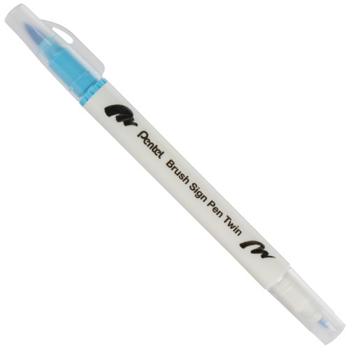 Pentel Arts Sign Pen Twin Brush 30/Pkg-Assorted Colors SESW30