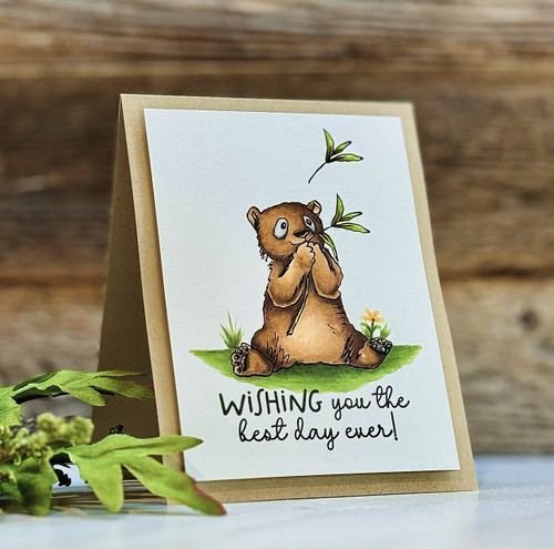 2 Pack Colorado Craft Company Clear Stamps 3"X4"-Bear Hugs By Anita Jeram AJ948