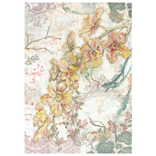 2 Pack - Stamperia Assorted Rice Paper Backgrounds A6 8/Pkg-Orchids And Cats - FSAK6017