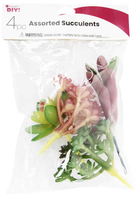 CousinDIY Succulent 4/Pkg-Assorted 40026AST - 191648149876