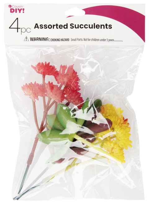 CousinDIY Succulent 4/Pkg-Assorted 40026AST