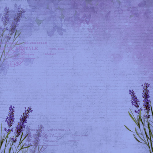 3 Pack - Little Birdie Cardstock Pack 6"X6" 24/Pkg-Purple Passion - CR79764 3 Pack - Little Birdie Cardstock Pack 6"X6" 24/Pkg-Purple Passion - CR79764