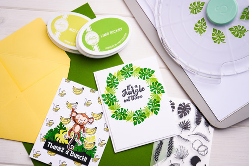 Sizzix Clear Stamps Set By Catherine Pooler 18/Pkg-Stay Wild - 666660 Sizzix Clear Stamps Set By Catherine Pooler 18/Pkg-Stay Wild - 666660