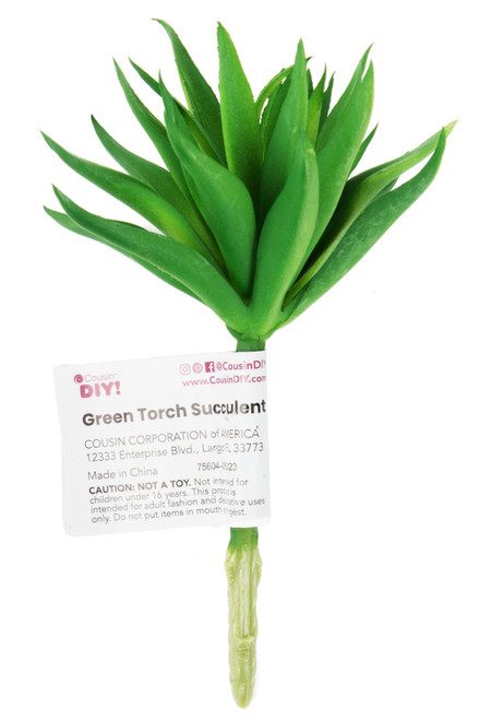 6 Pack - CousinDIY Torch Succulent Assortment- - 40028AST