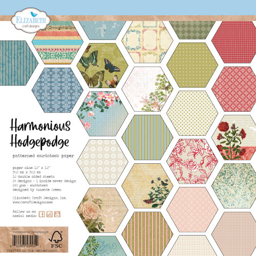 Elizabeth Craft Double-Sided Cardstock Pack 12"X12"-Harmonious Hodgepodge 5A00231S-1G64K - 810003539052