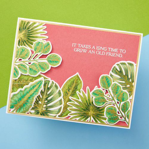 Spellbinders BetterPress Press Plate & Die Set-Tropical Leaves, Propagation Garden - 5A0022YX-1G615