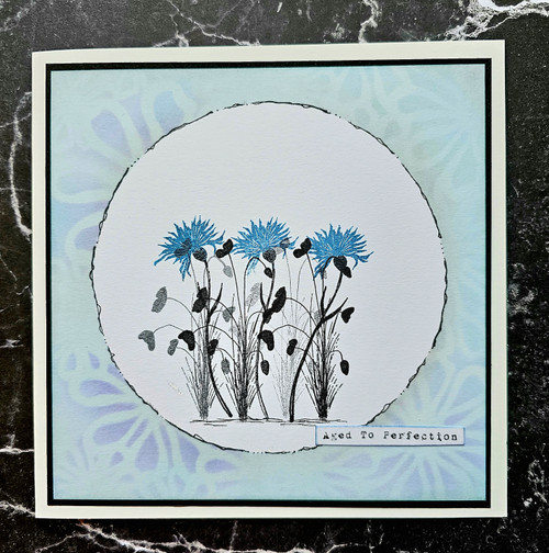 AALL And Create Stencil 6"X6"-The Wonder Of Nature 5A0023VG-1G709