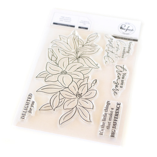Pinkfresh Studio Clear Stamp Set 4"X6"-Delighted For You - 5A0025GF-1G87K - 736952885227