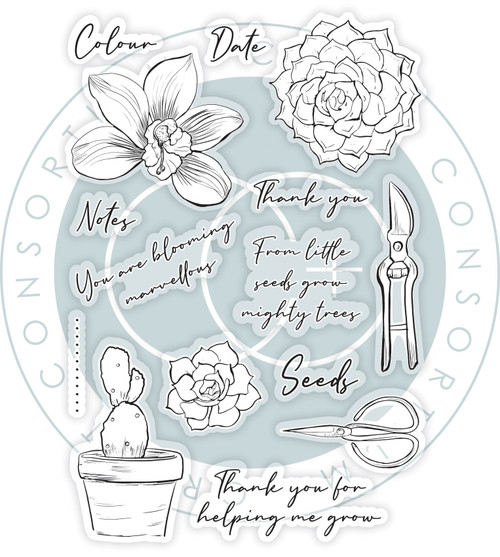 Craft Consortium Clear Stamps-Orchid, Botany Boutique - 5A0023C4-1G6CC