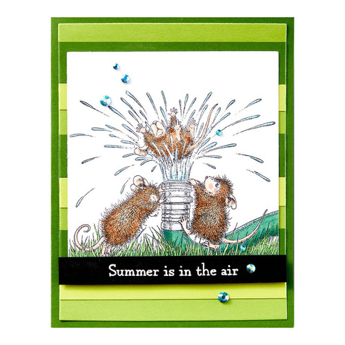 House Mouse Cling Rubber Stamp-Water Fun, Summer Fun 5A0026WP-1G9B2
