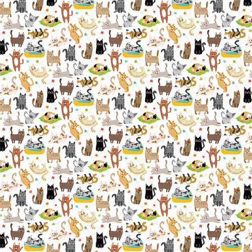 25 Pack Cat Nip Double-Sided Cardstock 12"X12"-Cats Have Staff 5A0027D0-1G9PF