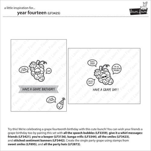 3 Pack Lawn Fawn Clear Stamps 3"X2"-Year Fourteen 5A00286Z-1GB8V