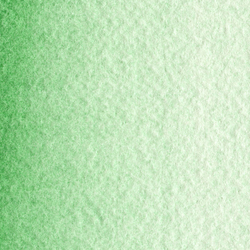 MaimeriBlu Superior Watercolor Paint 12ml-Cobalt Green Deep - 5A0029RT-1GD48