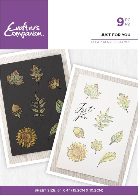 3 Pack - Crafter's Companion Inking and Stamping Clear Acrylic Stamp-Just For You - CASTJUFU - 195094101082