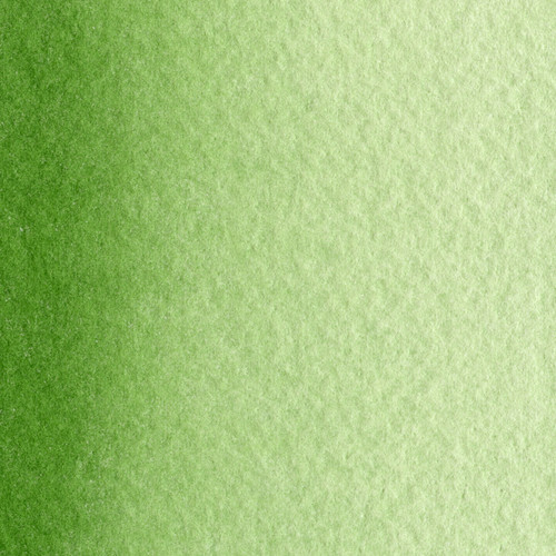MaimeriBlu Superior Watercolor Paint 12ml-Sap Green - 5A0029RR-1GD53