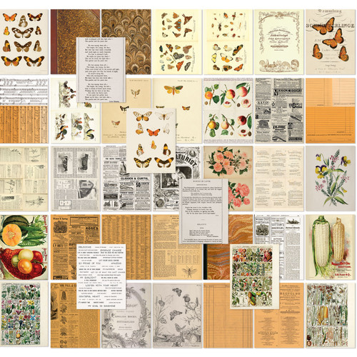 49 And Market Collage Sheets 6"x8" 40/Pkg-Color Swatch: Peach - CSP24982