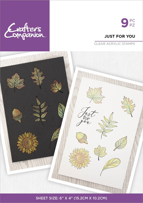 Crafter's Companion Inking and Stamping Clear Acrylic Stamp-Just For You CASTJUFU - 195094101082