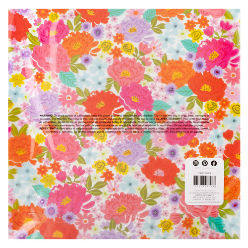 3 Pack - Paige Evans Adventurous Specialty Paper 12"X12"-Acetate - A5002628-G18SN 3 Pack - Paige Evans Adventurous Specialty Paper 12"X12"-Acetate - A5002628-G18SN