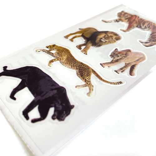 Paper House Decorative Stickers-Big Cats ST2361E