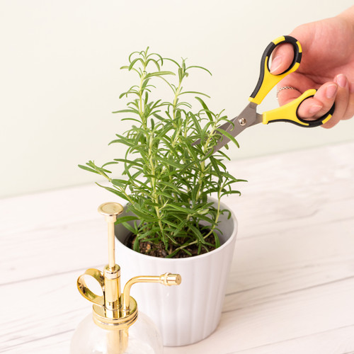 American Crafts Cutter Bee Herb Scissors-Yellow/Black - 55900026 American Crafts Cutter Bee Herb Scissors-Yellow/Black - 55900026