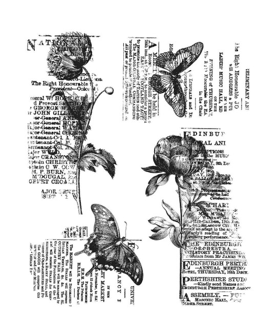 Tim Holtz Cling Stamps 7"X8.5"-Botanic Elements - CMS447 - 793888449008