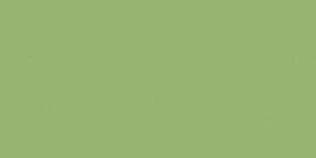 Jacquard Pinata Color Alcohol Ink .5oz-Lime Green - JFC-1021