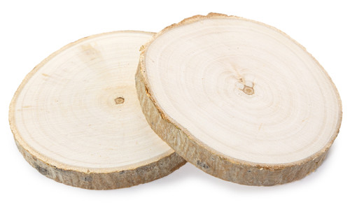 6 Pack - CousinDIY Rustic Wood Rounds 2/Pkg-Natural 4-5" - 20327055