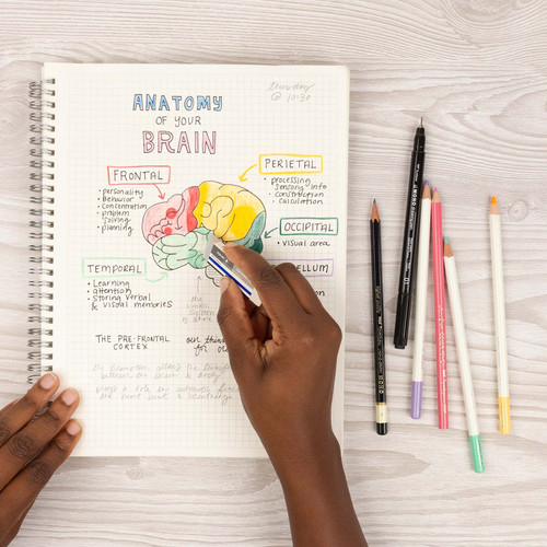 5 Pack - Tombow MONO Sand & Rubber Eraser-For Ink & Pencil - 57302 5 Pack - Tombow MONO Sand & Rubber Eraser-For Ink & Pencil - 57302