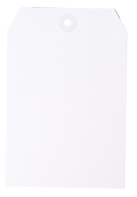 Art By Marlene Signature Collection Tags 21/Pkg-Nr. 08, Tag With Hole Reinforcements - 5A002BJ9-1GF0P Art By Marlene Signature Collection Tags 21/Pkg-Nr. 08, Tag With Hole Reinforcements - 5A002BJ9-1GF0P