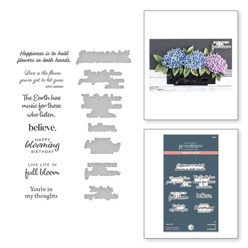 Spellbinders Press Plate & Die Set By Susan Tierney-Cockburn-Nature's Botanical Garden - 5A002C7V-1GFRR Spellbinders Press Plate & Die Set By Susan Tierney-Cockburn-Nature's Botanical Garden - 5A002C7V-1GFRR