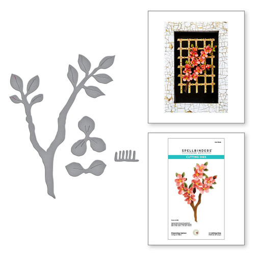 Spellbinders Etched Dies By Susan Tierney-Cockburn-Flowering Quince - 5A002C8Q-1GFRY Spellbinders Etched Dies By Susan Tierney-Cockburn-Flowering Quince - 5A002C8Q-1GFRY