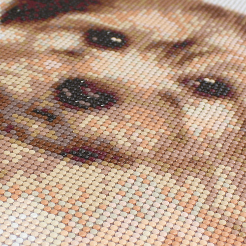 Camelot Dots Diamond Art Kit 11.8"X15.7"-Darling Puppy - 5A002CQL-1GG8D Camelot Dots Diamond Art Kit 11.8"X15.7"-Darling Puppy - 5A002CQL-1GG8D