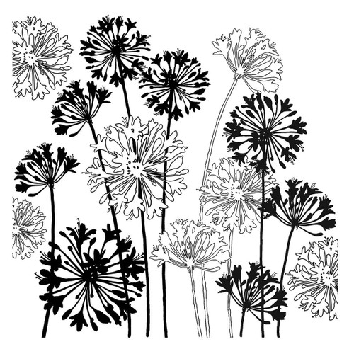 Stampendous Cling Rubber Stamp From Beautiful Backgrounds-Agapanthus - 5A002C91-1GFSC