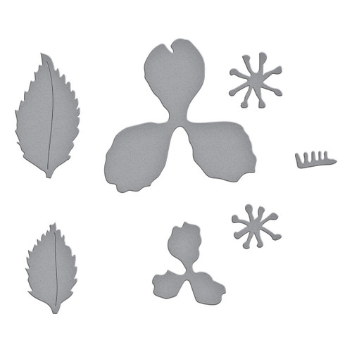 Spellbinders Etched Dies By Susan Tierney-Cockburn-Landscape Rose - 5A002C8H-1GFRT Spellbinders Etched Dies By Susan Tierney-Cockburn-Landscape Rose - 5A002C8H-1GFRT