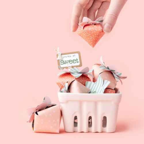 3 Pack - Pebbles Sunny Bloom Puffy Stickers 47/Pkg-Icons - 34030124 3 Pack - Pebbles Sunny Bloom Puffy Stickers 47/Pkg-Icons - 34030124