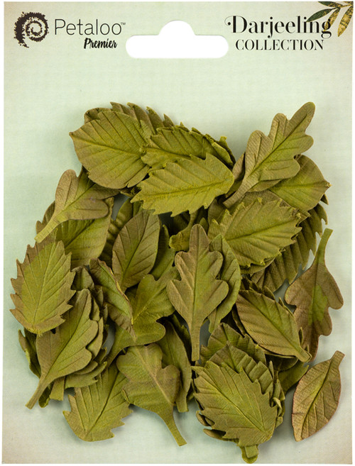Little Birdie Handmade Rose Leaves Flowers 40/Pkg-Vintage Green CR98069 - 726465506337