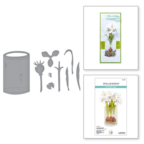 Spellbinders Etched Dies By Susan Tierney-Cockburn-Paperwhites and Glass Vase - 5A002FD0-1GGSN