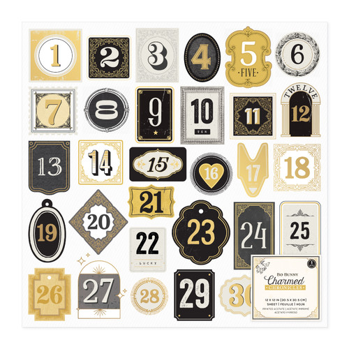 Bo Bunny Charmed Chronicles Specialty Paper 12"X12"-Printed Acetate - 5A00263L-1G8WV - 765468077024