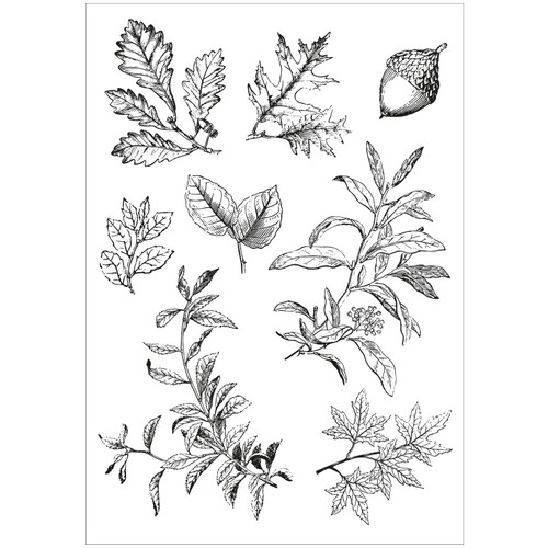 Sizzix A5 Clear Stamps With Framelits Die By 49 And Market-Forever Leaves - 5A00240M-1G7B7 Sizzix A5 Clear Stamps With Framelits Die By 49 And Market-Forever Leaves - 5A00240M-1G7B7