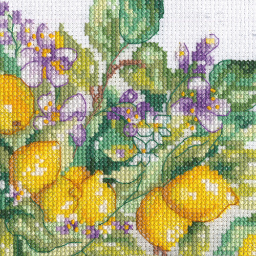 Dimensions Counted Cross Stitch Kit 14"X10"-Lemon Jar (14 Count) - 5A002G8Z-1GHQL Dimensions Counted Cross Stitch Kit 14"X10"-Lemon Jar (14 Count) - 5A002G8Z-1GHQL
