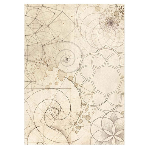 Stamperia Assorted Rice Paper Backgrounds A6 8/Sheets-Forest 5A002CGN-1GG13