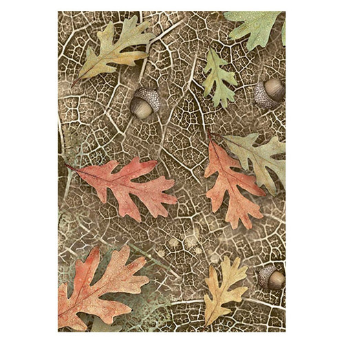 Stamperia Assorted Rice Paper Backgrounds A6 8/Sheets-Forest 5A002CGN-1GG13