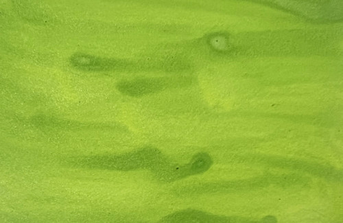 Lindy's Stamp Gang Magical Shaker 2.0 Set 5/Pkg-Go Girl Shimmers - 5A002HNB-1GK6X Lindy's Stamp Gang Magical Shaker 2.0 Set 5/Pkg-Go Girl Shimmers - 5A002HNB-1GK6X